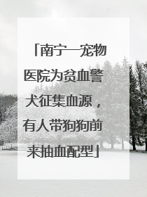 南宁一宠物医院为贫血警犬征集血源，有人带狗狗前来抽血配型