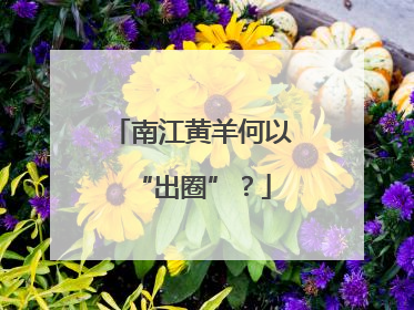 南江黄羊何以“出圈”？
