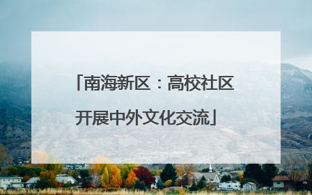 南海新区：高校社区开展中外文化交流