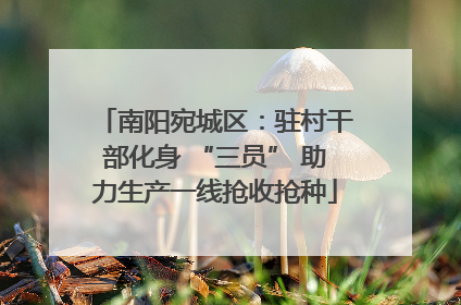 南阳宛城区：驻村干部化身 “三员” 助力生产一线抢收抢种