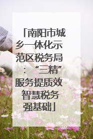 南阳市城乡一体化示范区税务局：“三精”服务提质效 智慧税务强基础