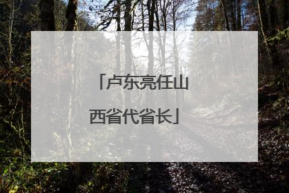 卢东亮任山西省代省长