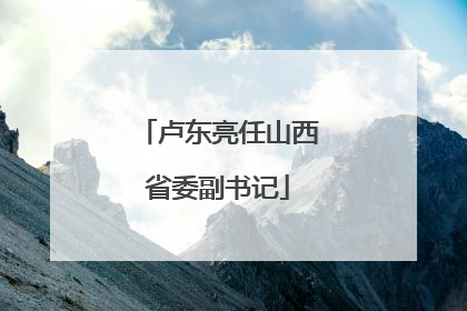 卢东亮任山西省委副书记