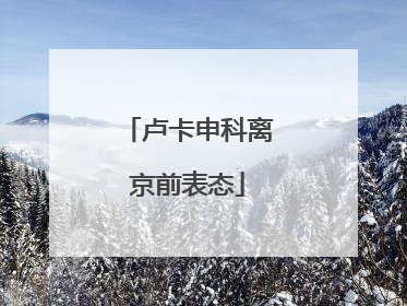 卢卡申科离京前表态