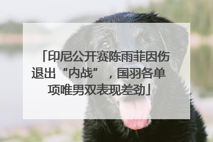 印尼公开赛陈雨菲因伤退出“内战”，国羽各单项唯男双表现差劲