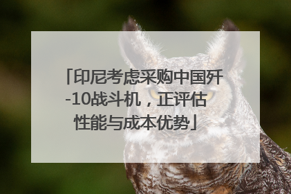 印尼考虑采购中国歼-10战斗机，正评估性能与成本优势
