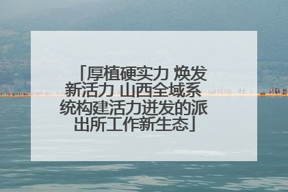 厚植硬实力 焕发新活力 山西全域系统构建活力迸发的派出所工作新生态