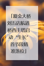 厦金大桥刘五店航道桥西主塔启动“生长” 首节段精准落位