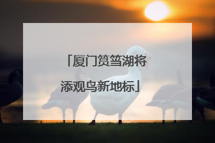 厦门筼筜湖将添观鸟新地标