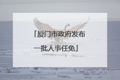 厦门市政府发布一批人事任免