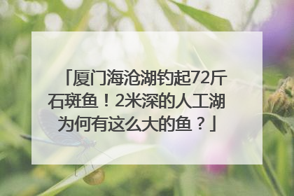 厦门海沧湖钓起72斤石斑鱼！2米深的人工湖为何有这么大的鱼？