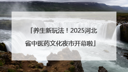 养生新玩法！2025河北省中医药文化夜市开幕啦
