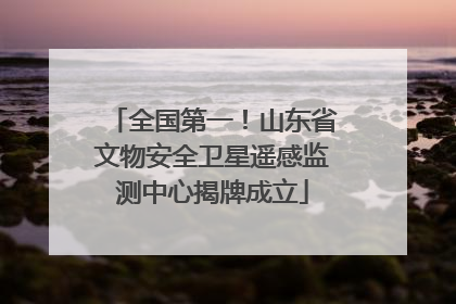 全国第一！山东省文物安全卫星遥感监测中心揭牌成立