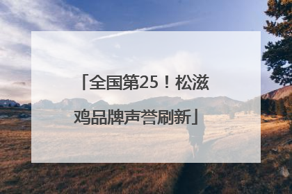 全国第25！松滋鸡品牌声誉刷新