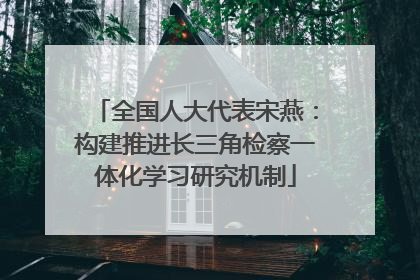 全国人大代表宋燕：构建推进长三角检察一体化学习研究机制