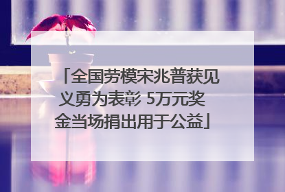 全国劳模宋兆普获见义勇为表彰 5万元奖金当场捐出用于公益