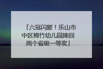 六冠闪耀！乐山市中区棉竹幼儿园捧回两个省级一等奖
