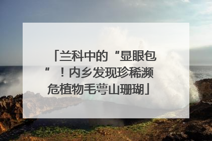 兰科中的“显眼包”！内乡发现珍稀濒危植物毛萼山珊瑚