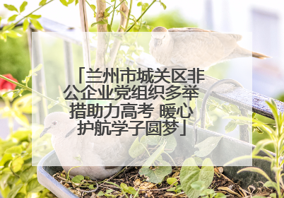 兰州市城关区非公企业党组织多举措助力高考 暖心护航学子圆梦