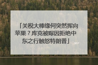 关税大棒缘何突然挥向苹果？库克被曝因拒绝中东之行触怒特朗普