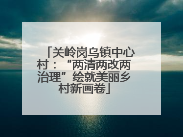 关岭岗乌镇中心村：“两清两改两治理”绘就美丽乡村新画卷