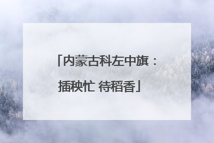 内蒙古科左中旗：插秧忙 待稻香