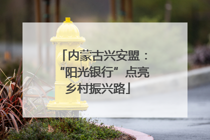 内蒙古兴安盟：“阳光银行”点亮乡村振兴路