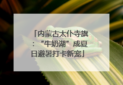 内蒙古太仆寺旗：“牛奶湖”成夏日避暑打卡新宠