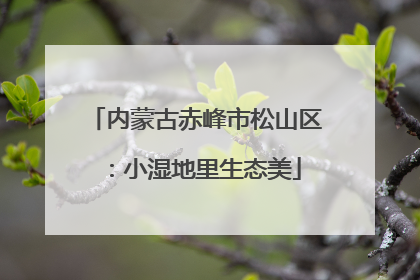 内蒙古赤峰市松山区：小湿地里生态美