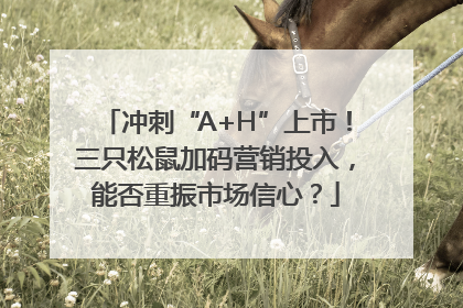 冲刺“A+H”上市！三只松鼠加码营销投入，能否重振市场信心？