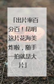出片率百分百！昆明这片花海美炸啦，随手一拍就是大片