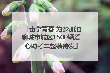 击掌青春 为梦加油 聊城市城区1500辆爱心助考车整装待发