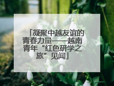 凝聚中越友谊的青春力量——越南青年“红色研学之旅”见闻