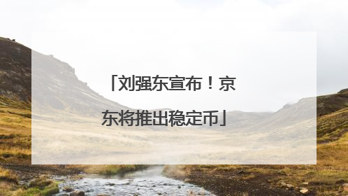 刘强东宣布！京东将推出稳定币