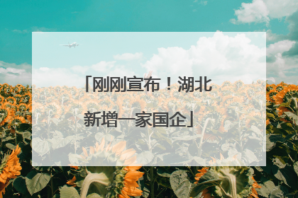刚刚宣布！湖北新增一家国企