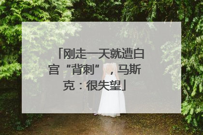 刚走一天就遭白宫“背刺”，马斯克：很失望