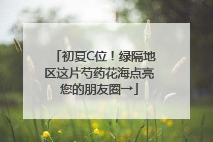 初夏C位！绿隔地区这片芍药花海点亮您的朋友圈→