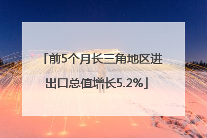 前5个月长三角地区进出口总值增长5.2%