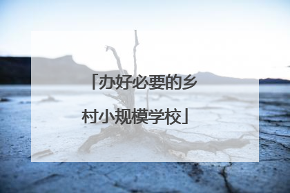 办好必要的乡村小规模学校