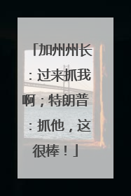 加州州长：过来抓我啊；特朗普：抓他，这很棒！