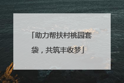 助力帮扶村桃园套袋，共筑丰收梦
