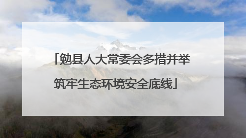 勉县人大常委会多措并举筑牢生态环境安全底线