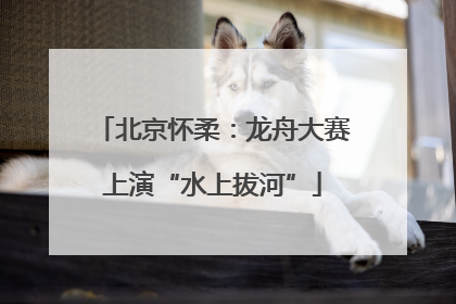 北京怀柔：龙舟大赛上演“水上拔河”