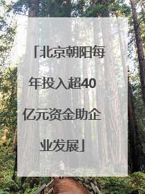 北京朝阳每年投入超40亿元资金助企业发展