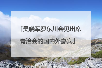 吴晓军罗东川会见出席青洽会的国内外嘉宾
