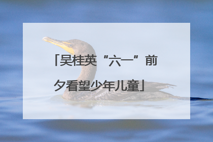 吴桂英“六一”前夕看望少年儿童