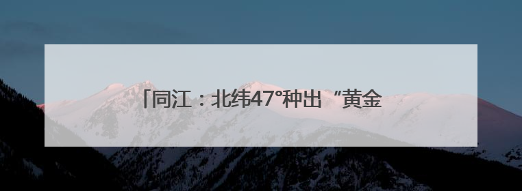 同江：北纬47°种出“黄金产业” 软枣猕猴桃9月上市