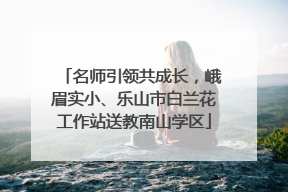 名师引领共成长，峨眉实小、乐山市白兰花工作站送教南山学区