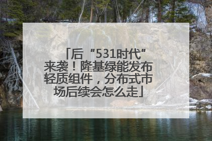 后“531时代”来袭！隆基绿能发布轻质组件，分布式市场后续会怎么走