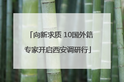 向新求质 10国外籍专家开启西安调研行